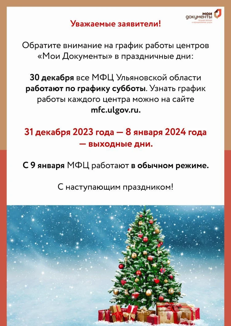 Опубликован график работы МФЦ Ульяновской области в новогодние праздники -  KP.RU