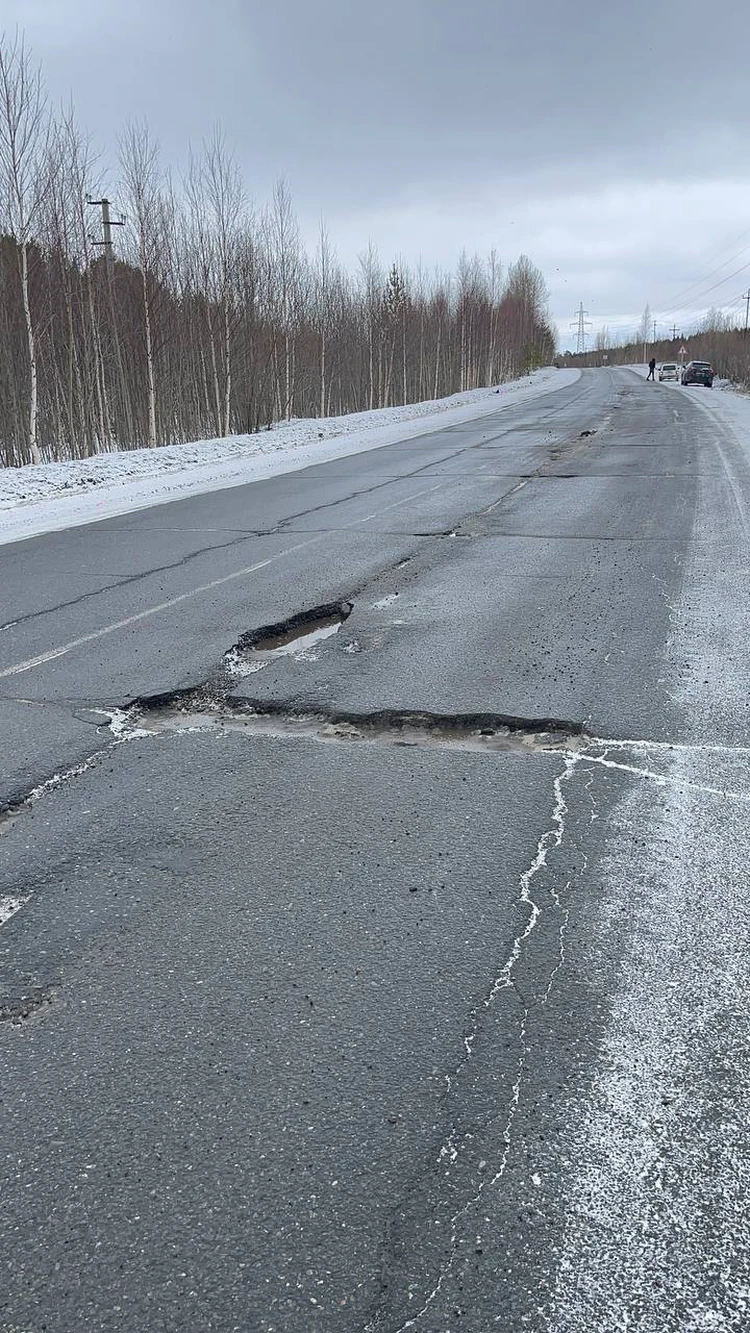 Жители томского Севера возмущены дорогой из Стрежевого до Нижневартовска -  KP.RU