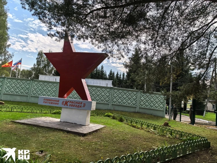 Тут зарождалась кинология нашей страны.