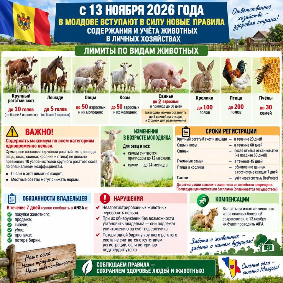 Фото: соцсети