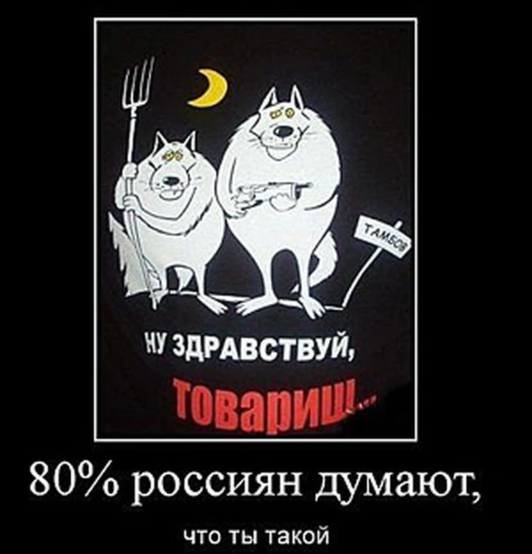 Ну здравствуй фф. Тамбовский волк приколы. Тамбовский волк тебе товарищ. Шутки про Тамбовского волка. Тамбовский волк тебе товарищ картинки прикольные.