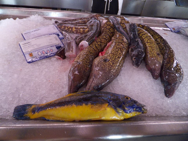 Хотите тишины, релакса, вкусной свежей еды? Начинайте планировать путешествие на Менорку.