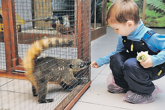 А в «Моем маленьком мире» на Тушинской животных разрешают даже кормить.