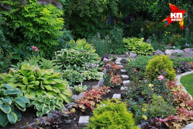Ландшафтный дизайн маленького садового участка — создаем сад мечты на 1 сотке