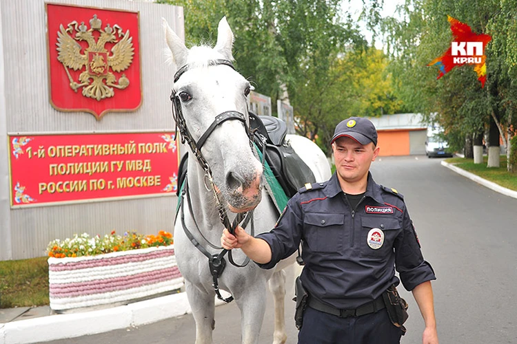 Инн 1 специальный полк полиции