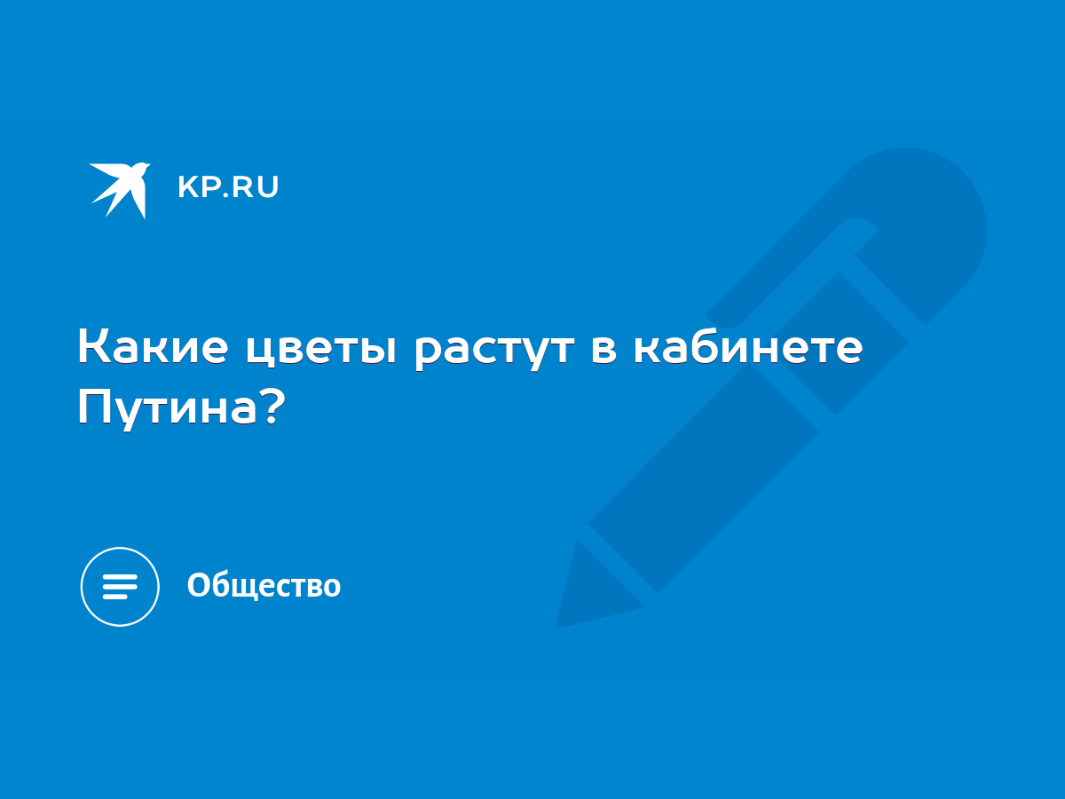 Цветок на столе у путина название