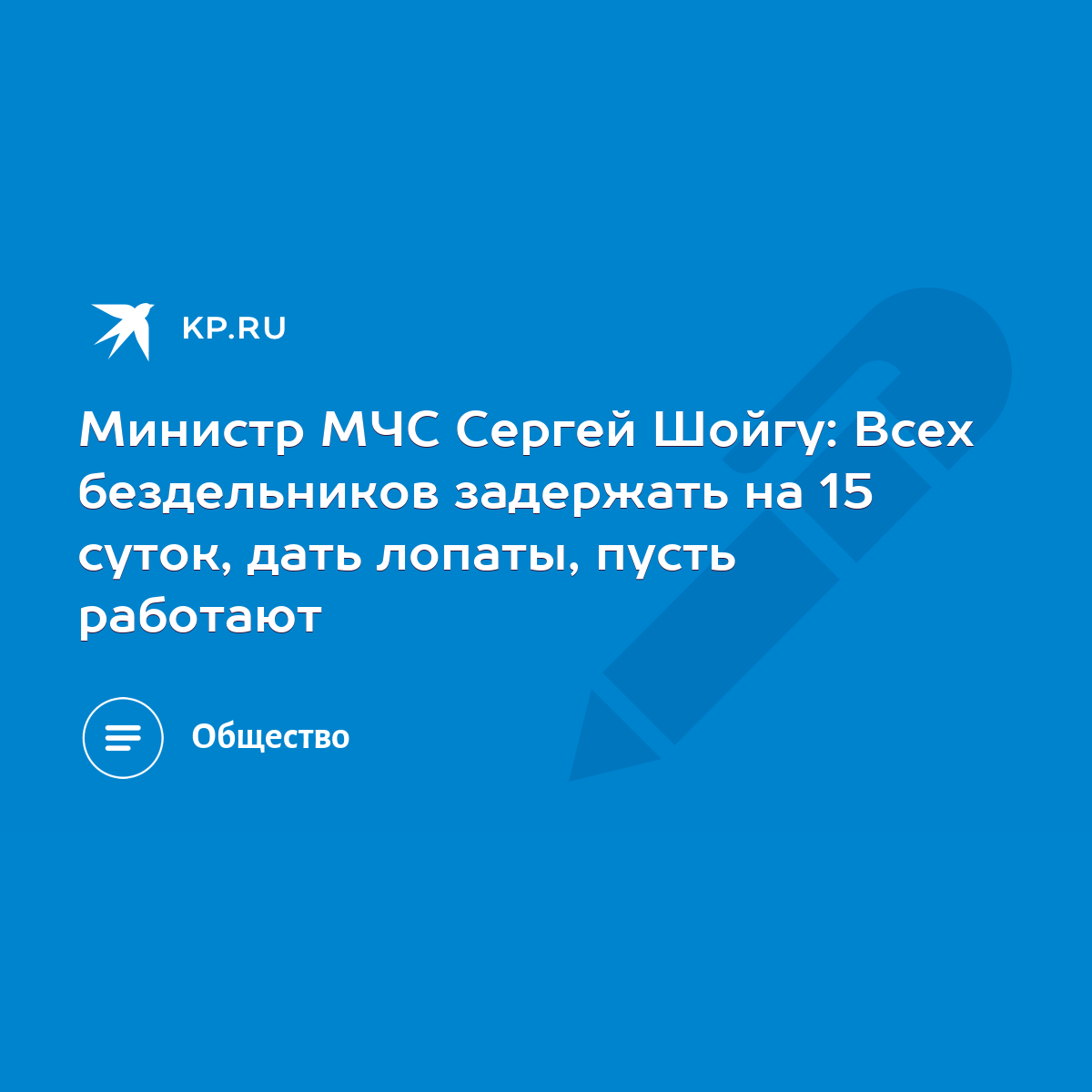 Министр МЧС Сергей Шойгу: Всех бездельников задержать на 15 суток, дать  лопаты, пусть работают - KP.RU