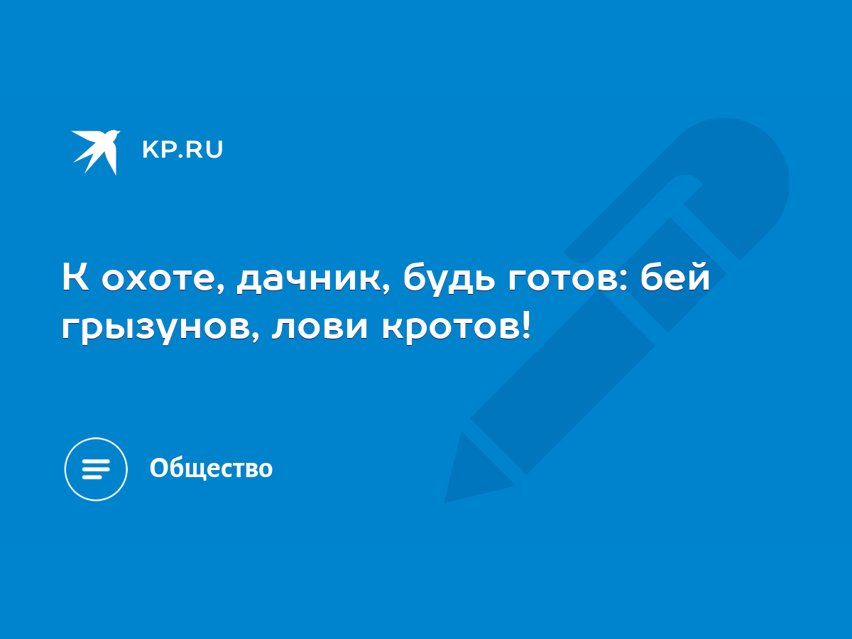 К охоте, дачник, будь готов: бей грызунов, лови кротов! - KP.RU