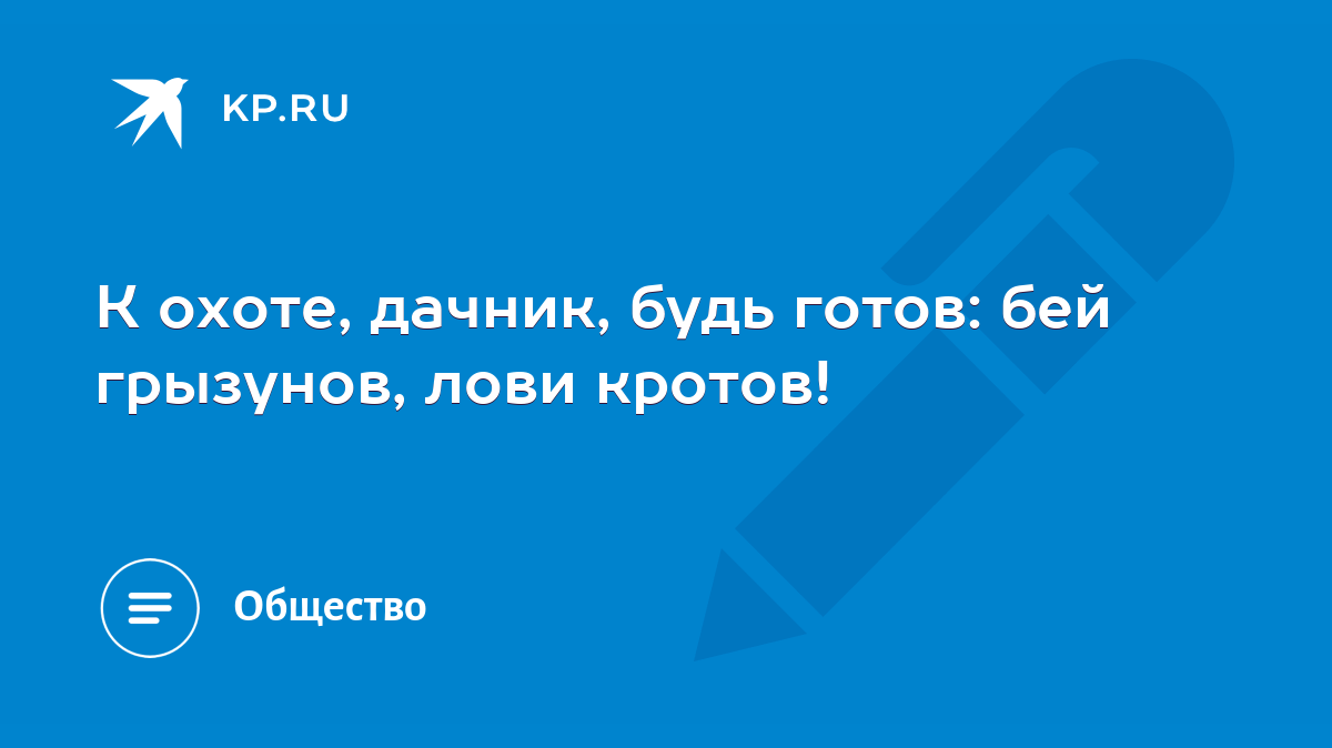 К охоте, дачник, будь готов: бей грызунов, лови кротов! - KP.RU