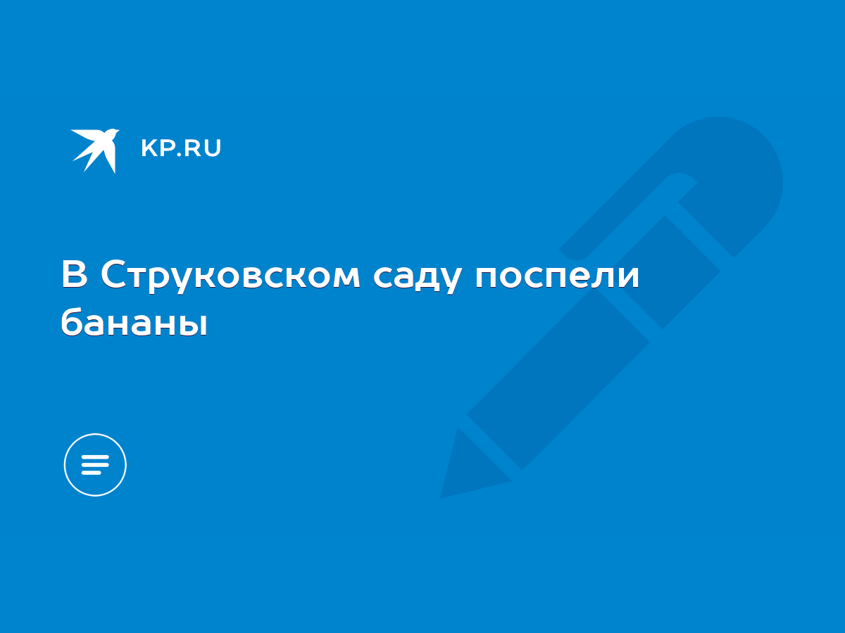 В Струковском саду поспели бананы - KP.RU