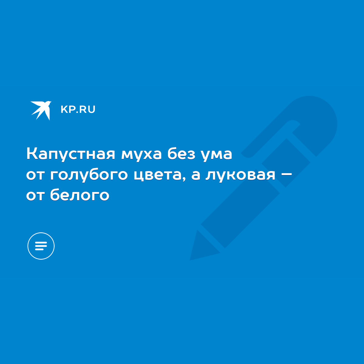 Капустная муха без ума от голубого цвета, а луковая – от белого - KP.RU