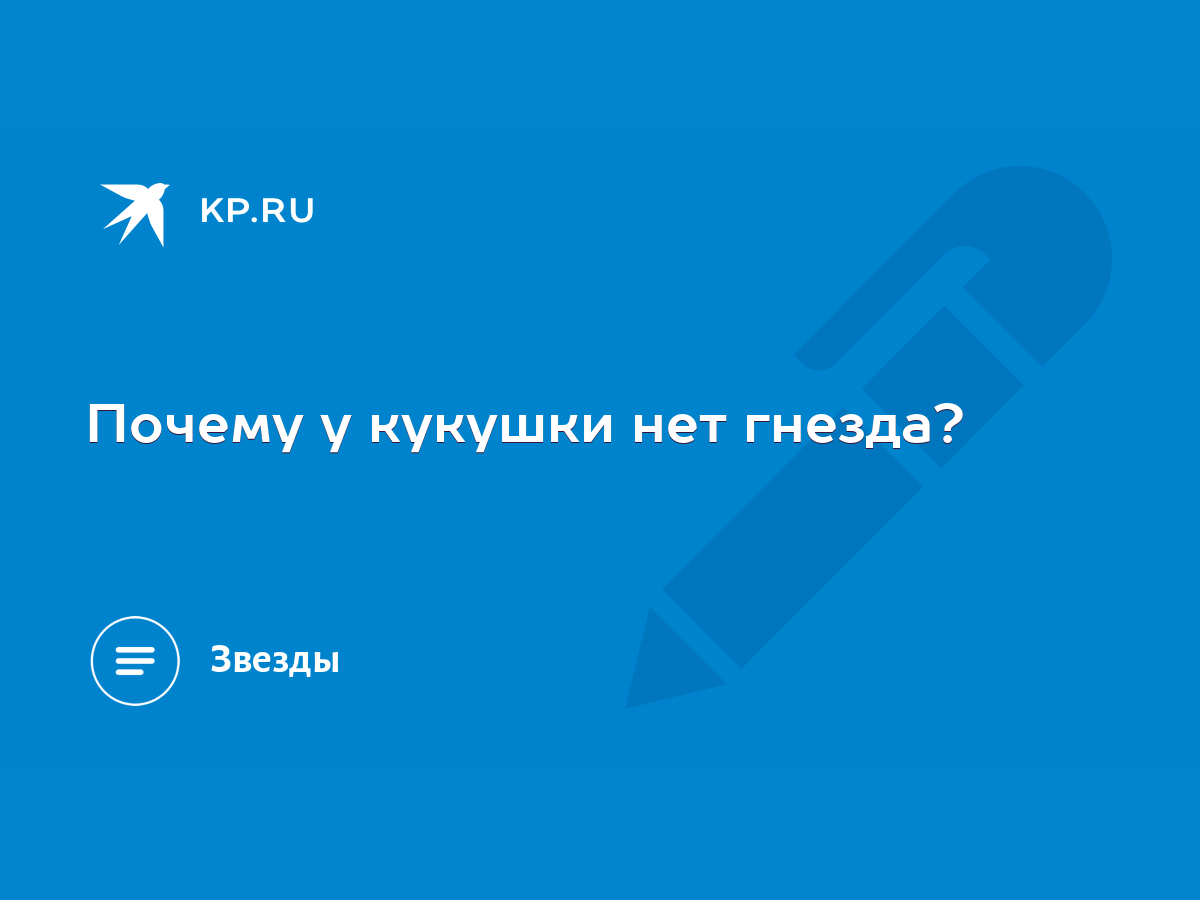 Почему у кукушки нет гнезда? - KP.RU