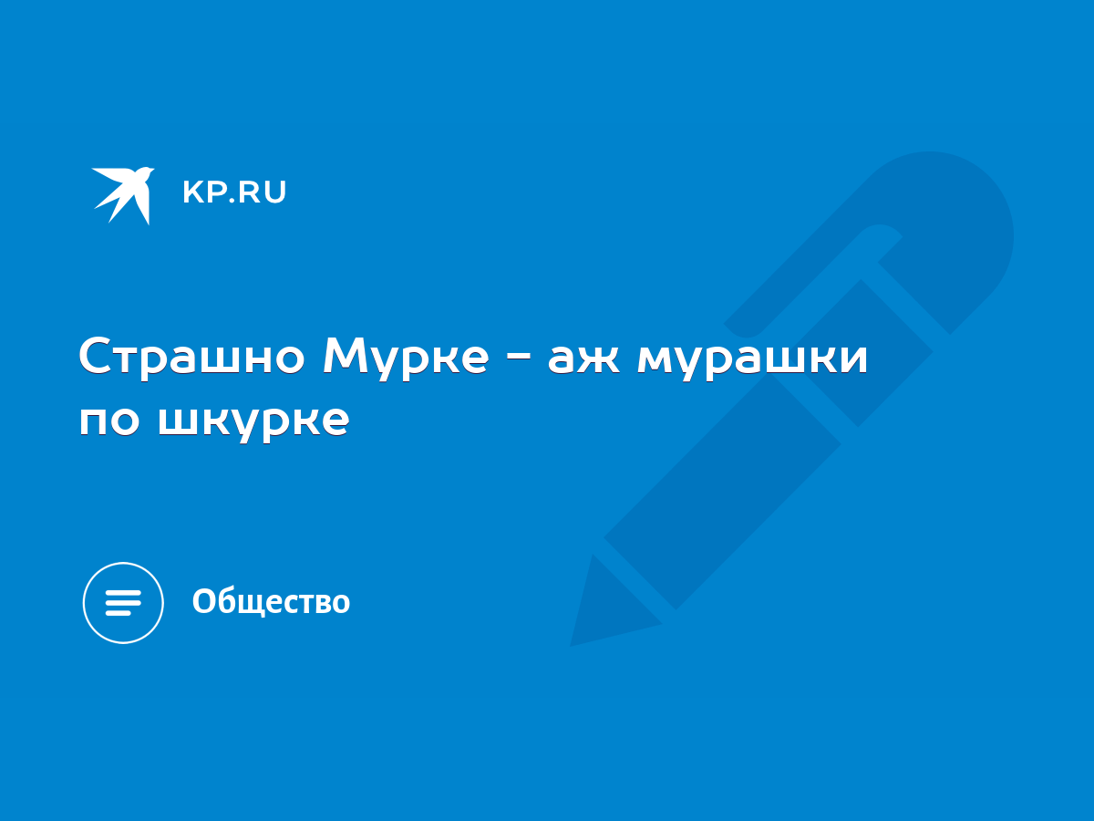 Страшно Мурке - аж мурашки по шкурке - KP.RU