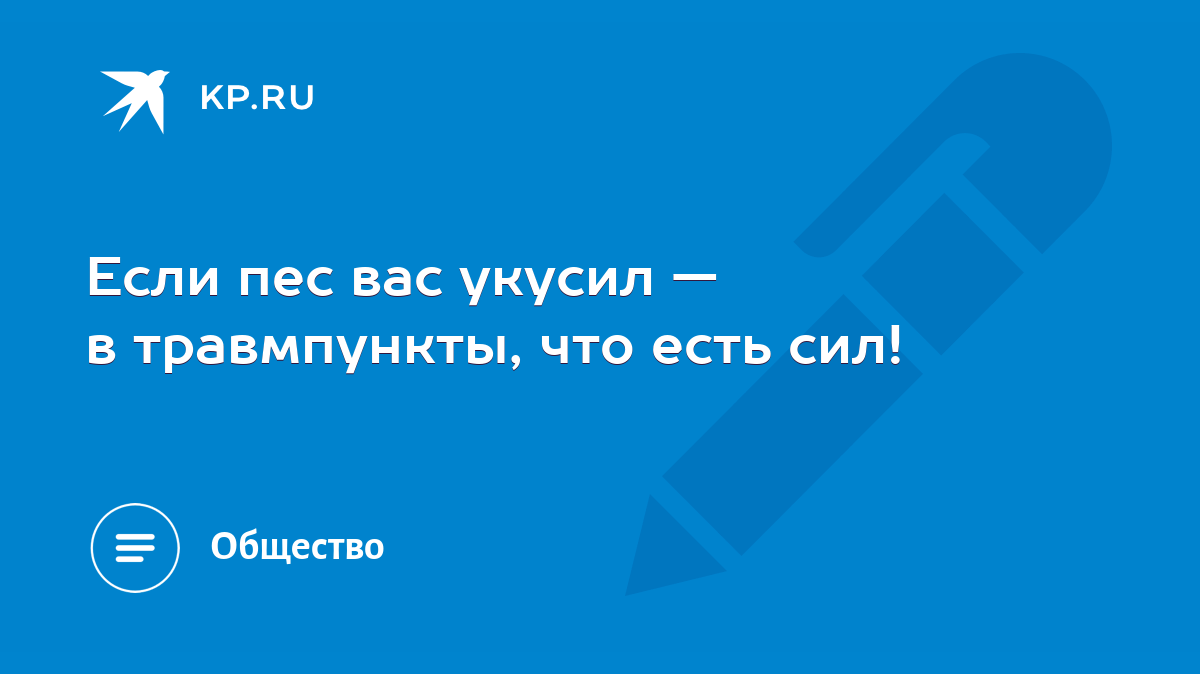 Если пес вас укусил — в травмпункты, что есть сил! - KP.RU