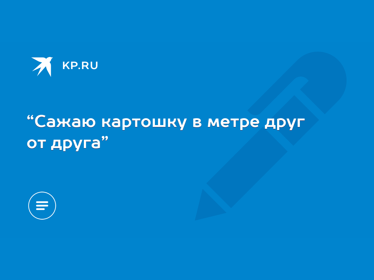 Сажаю картошку в метре друг от друга” - KP.RU