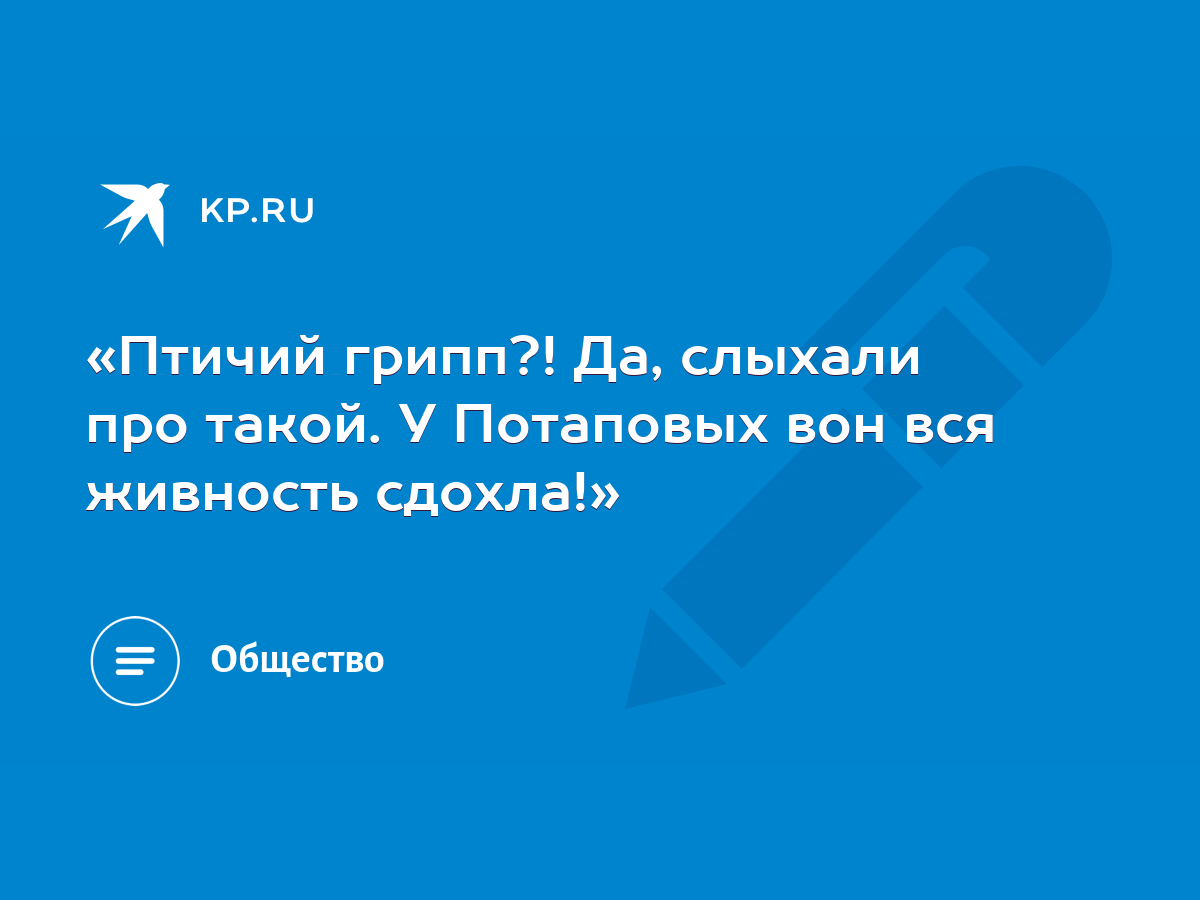 Птичий грипп?! Да, слыхали про такой. У Потаповых вон вся живность сдохла!»  - KP.RU