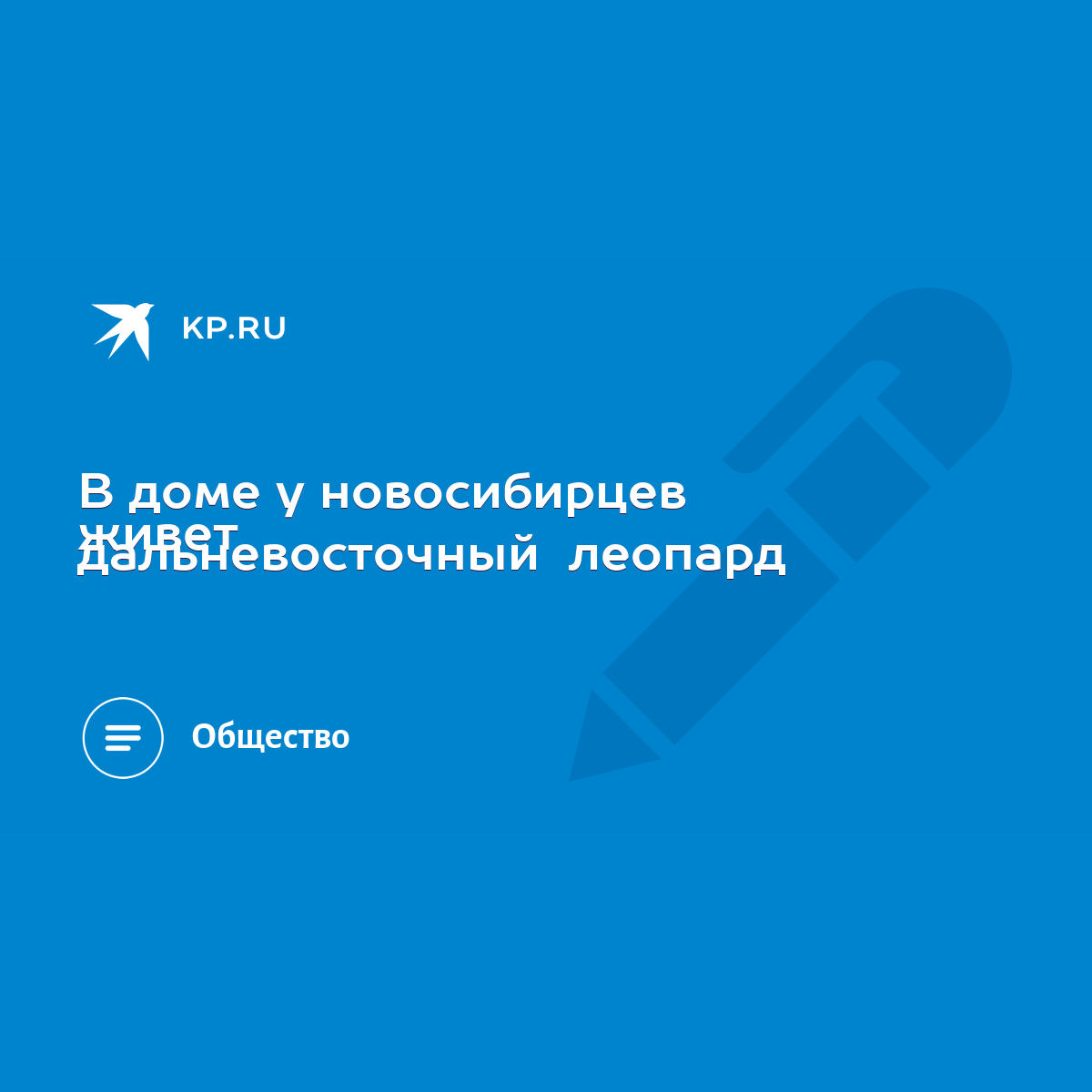 В доме у новосибирцев живет дальневосточный леопард - KP.RU