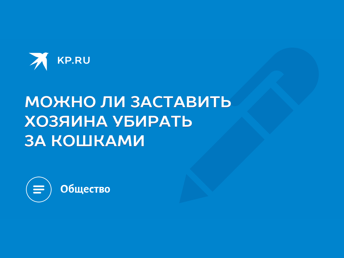 МОЖНО ЛИ ЗАСТАВИТЬ ХОЗЯИНА УБИРАТЬ ЗА КОШКАМИ - KP.RU