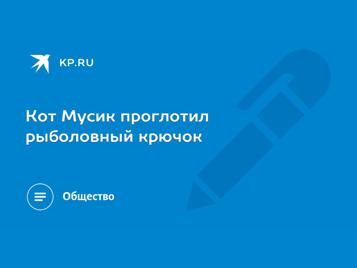 Кот Мусик проглотил рыболовный крючок - KP.RU