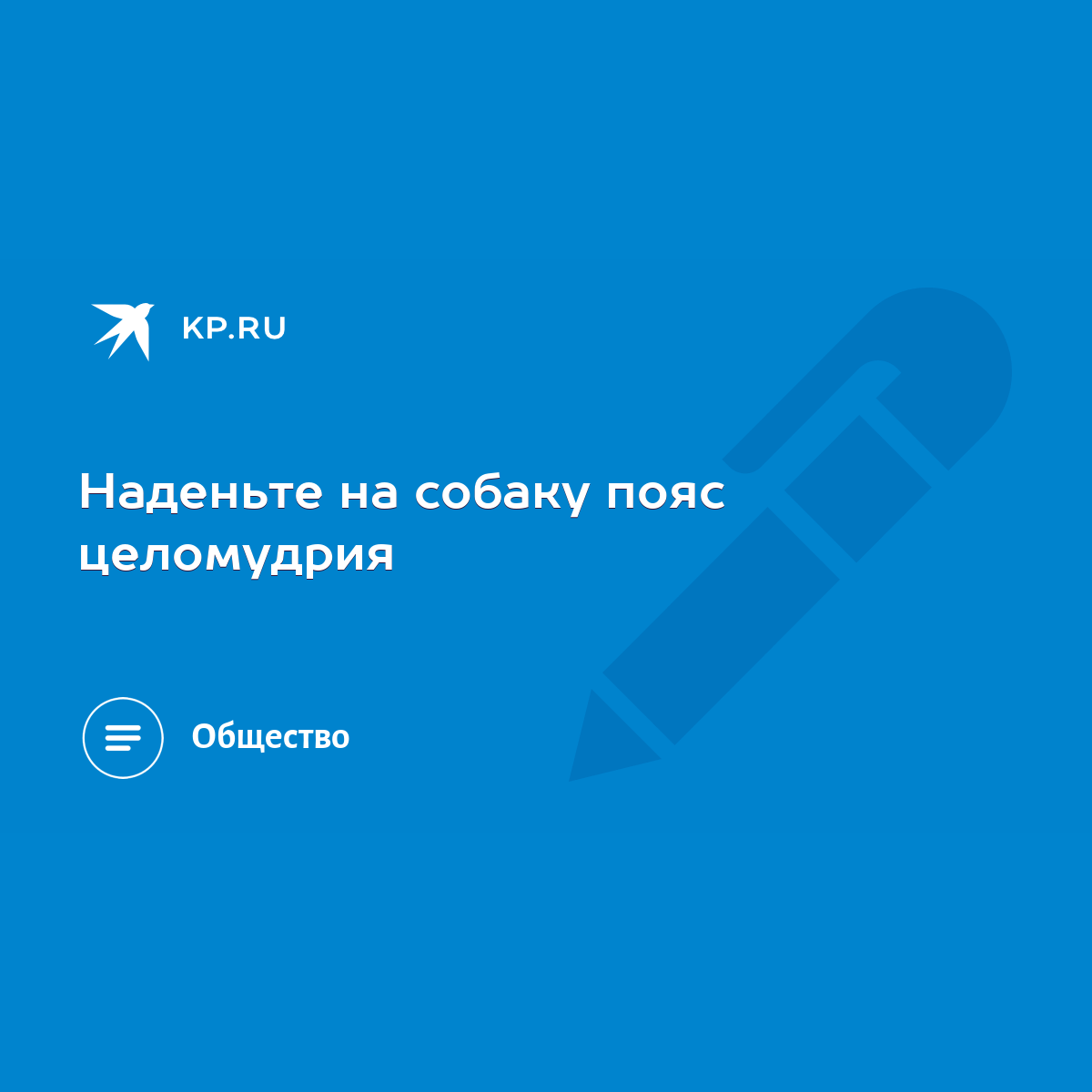 Наденьте на собаку пояс целомудрия - KP.RU