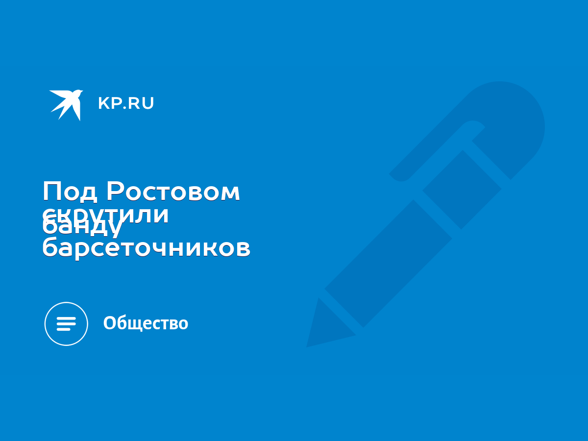 Под Ростовом скрутили банду барсеточников - KP.RU