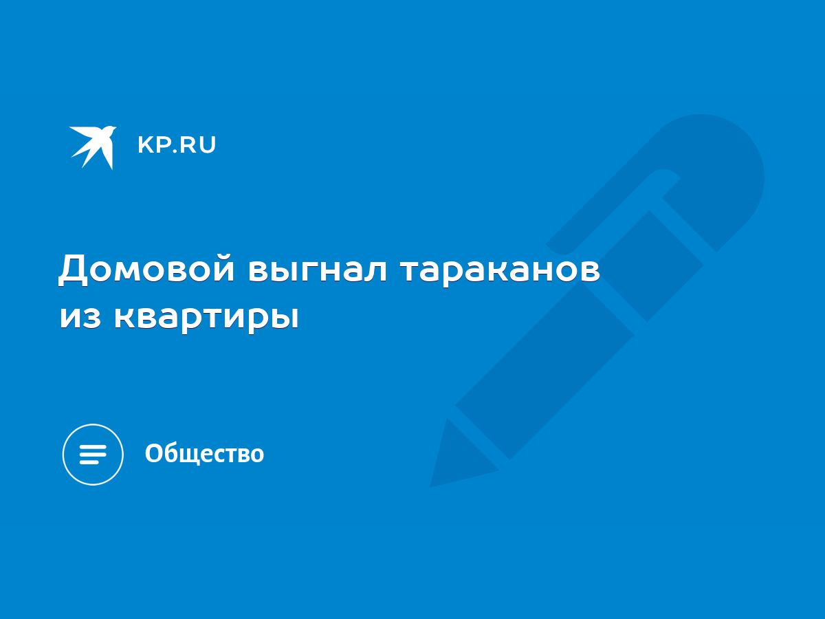 Домовой выгнал тараканов из квартиры - KP.RU