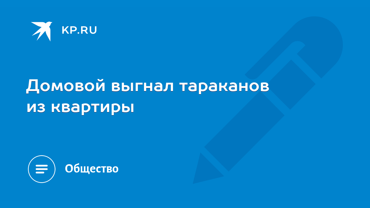 Домовой выгнал тараканов из квартиры - KP.RU