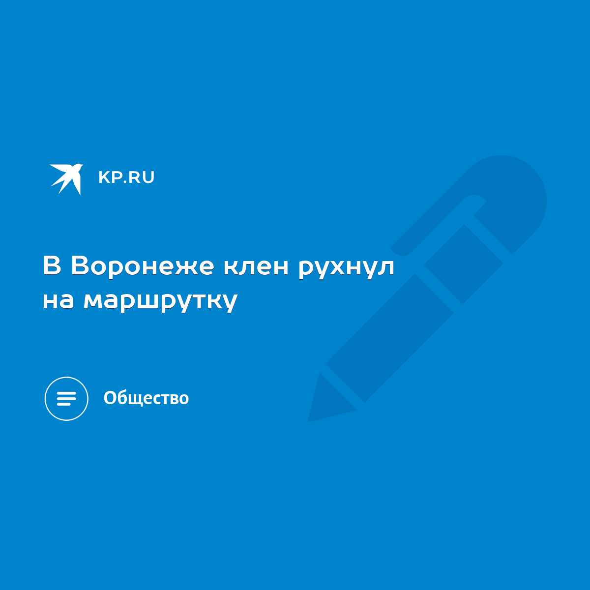 В Воронеже клен рухнул на маршрутку - KP.RU