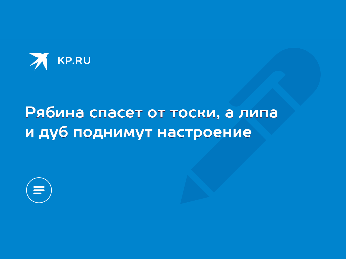 Рябина спасет от тоски, а липа и дуб поднимут настроение - KP.RU