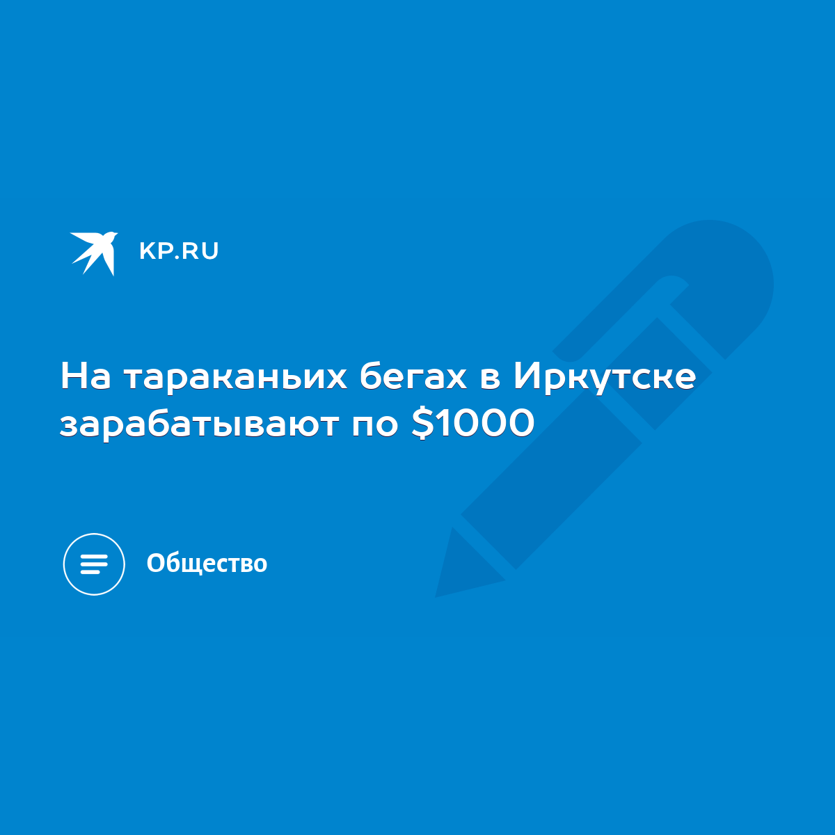 На тараканьих бегах в Иркутске зарабатывают по $1000 - KP.RU