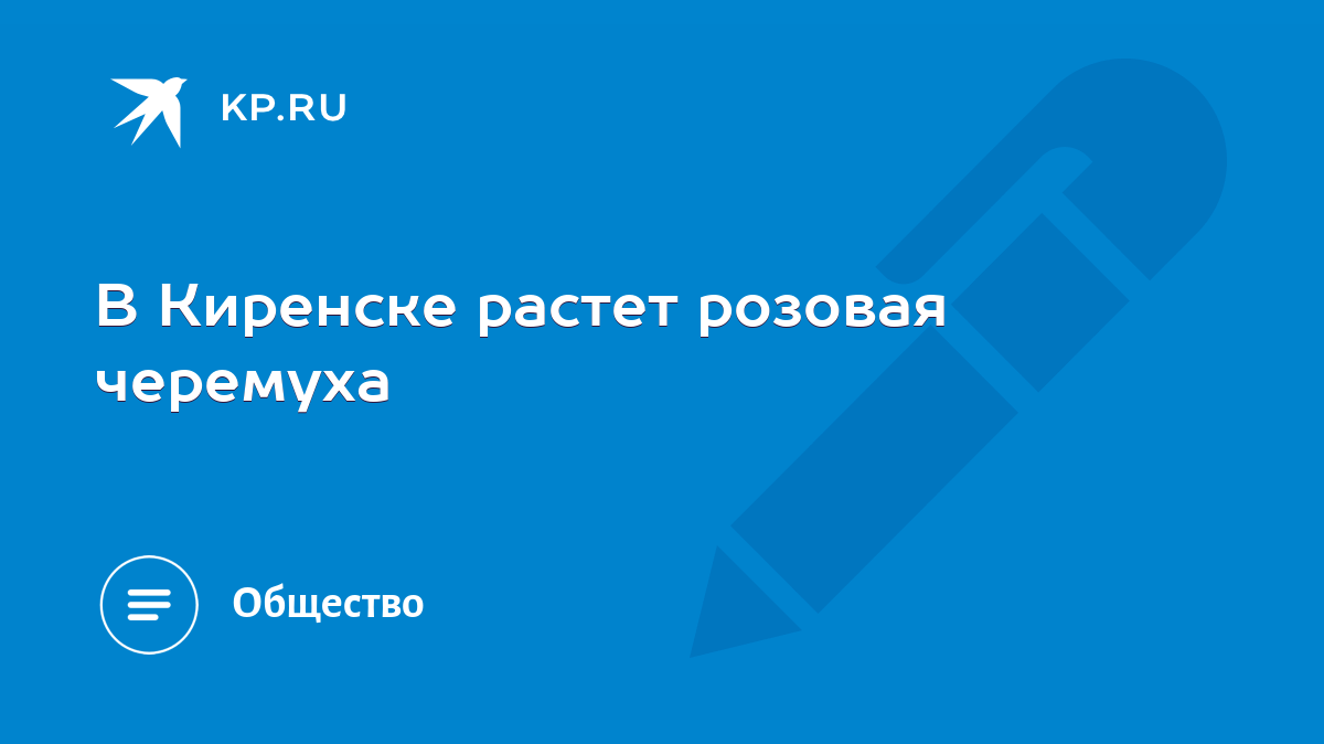 В Киренске растет розовая черемуха - KP.RU