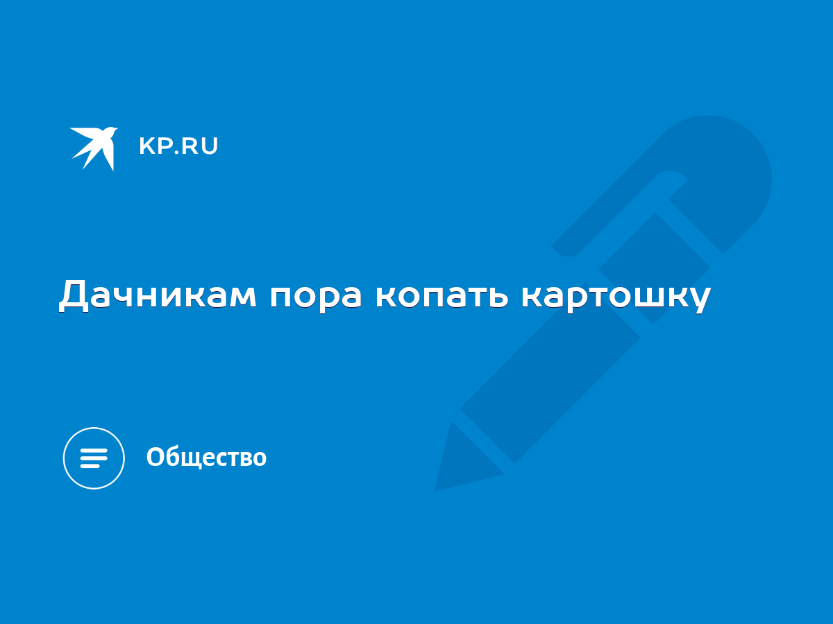 Дачникам пора копать картошку - KP.RU