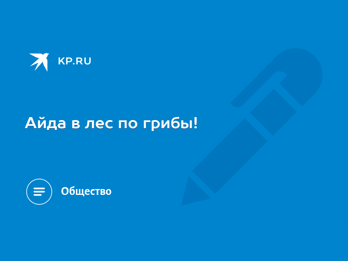 Айда в лес по грибы! - KP.RU