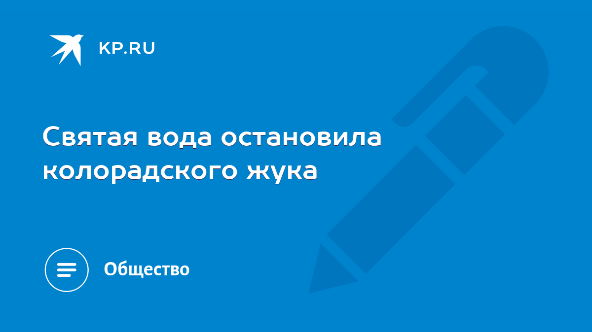 Cвятая вода остановила колорадского жука - KP.RU