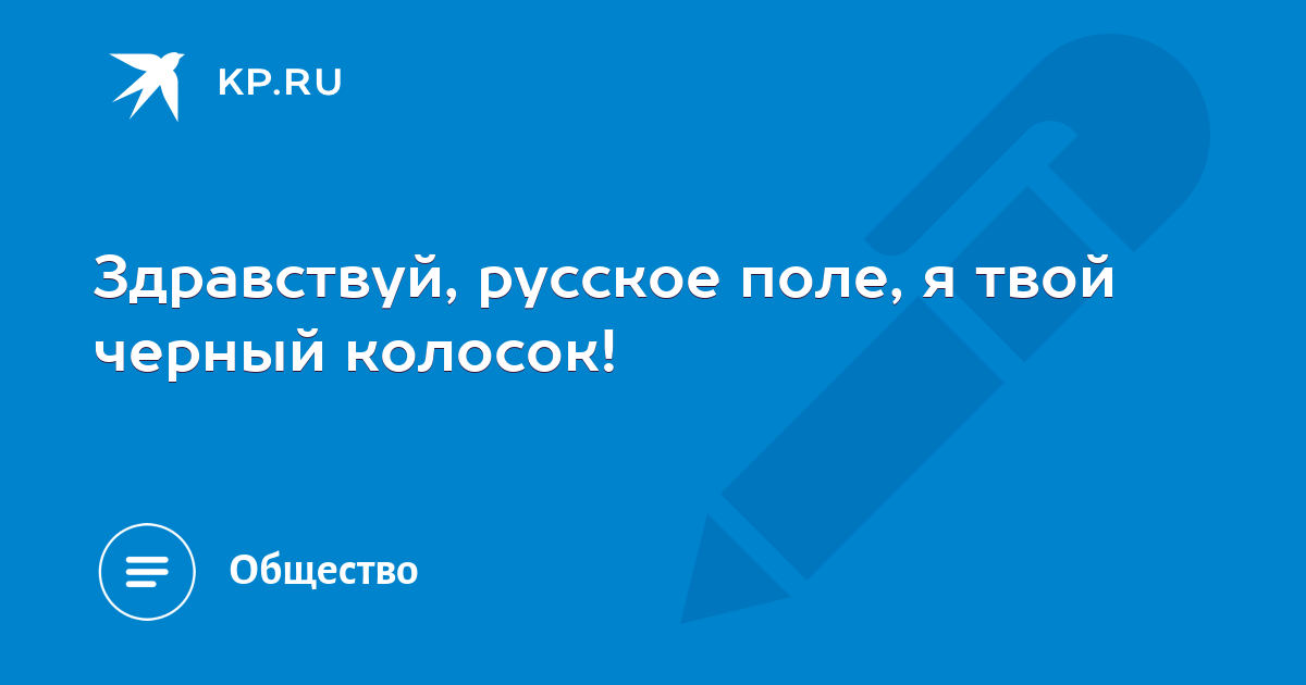 Здравствуй поле я твой тонкий колосок