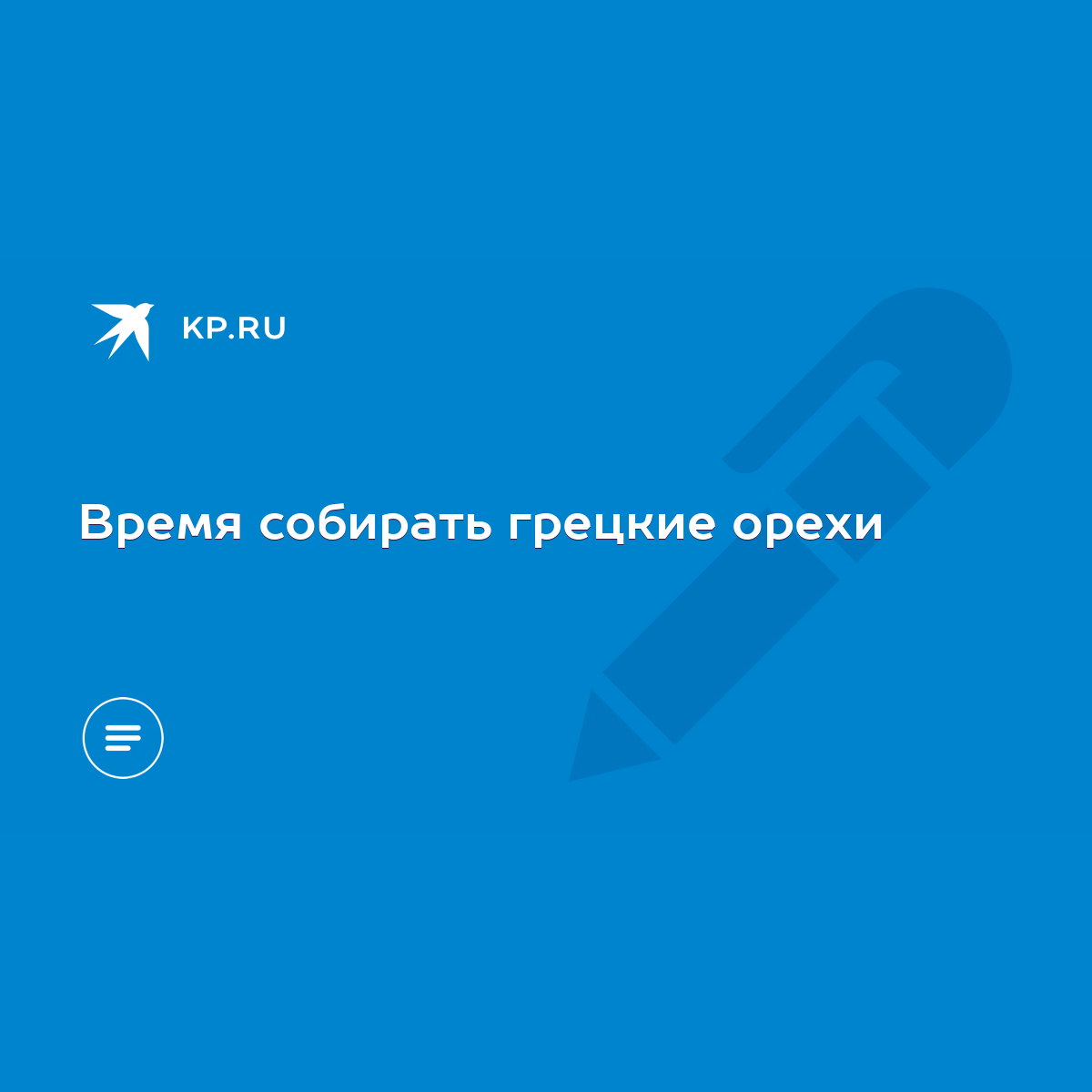 Время собирать грецкие орехи - KP.RU