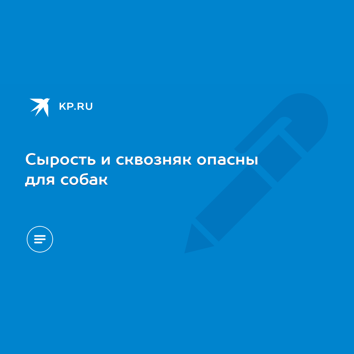 Сырость и сквозняк опасны для собак - KP.RU