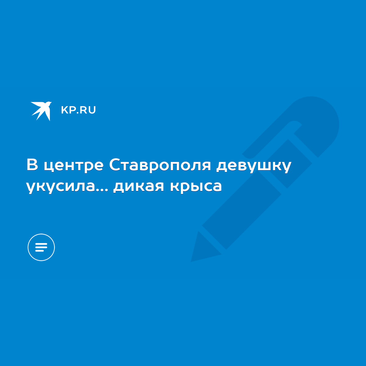 В центре Ставрополя девушку укусила… дикая крыса - KP.RU