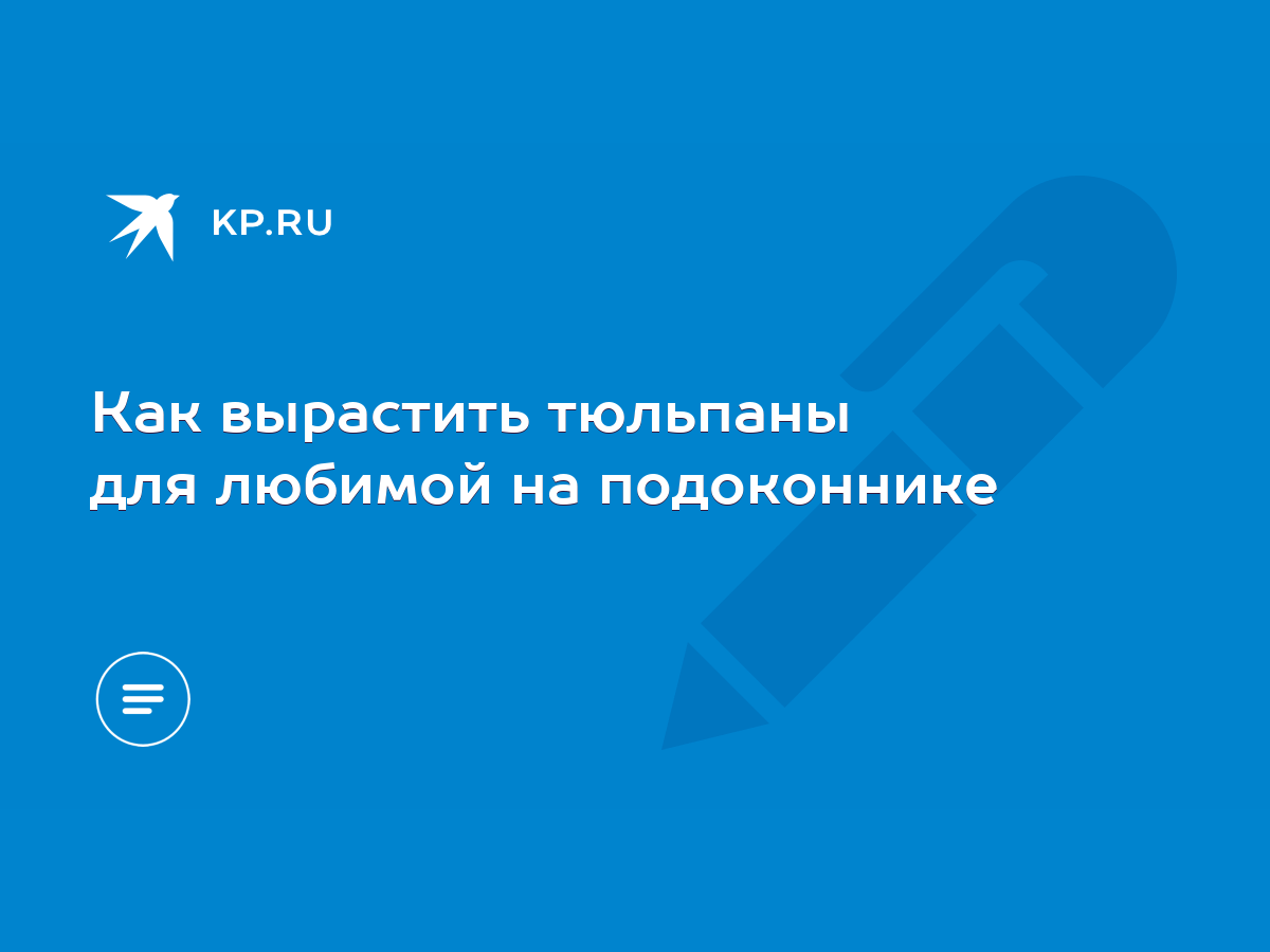 Как вырастить тюльпаны для любимой на подоконнике - KP.RU