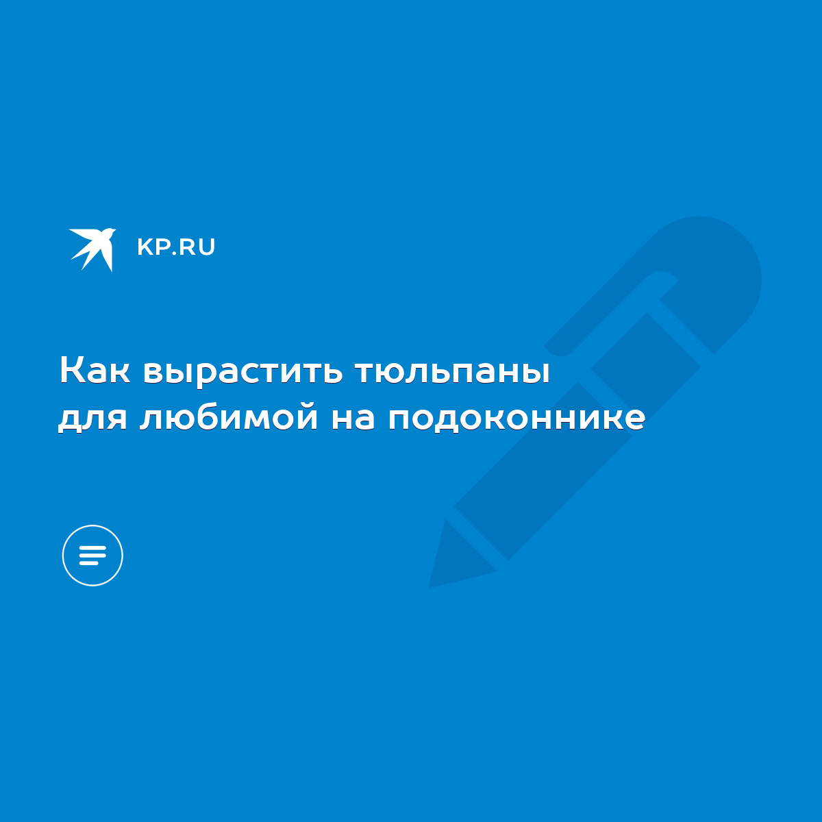 Как вырастить тюльпаны для любимой на подоконнике - KP.RU