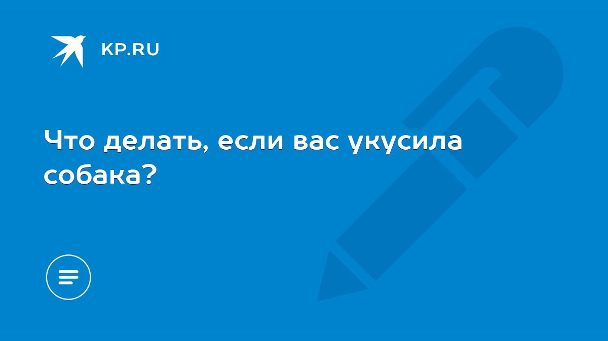 Что делать, если вас укусила собака? - KP.RU