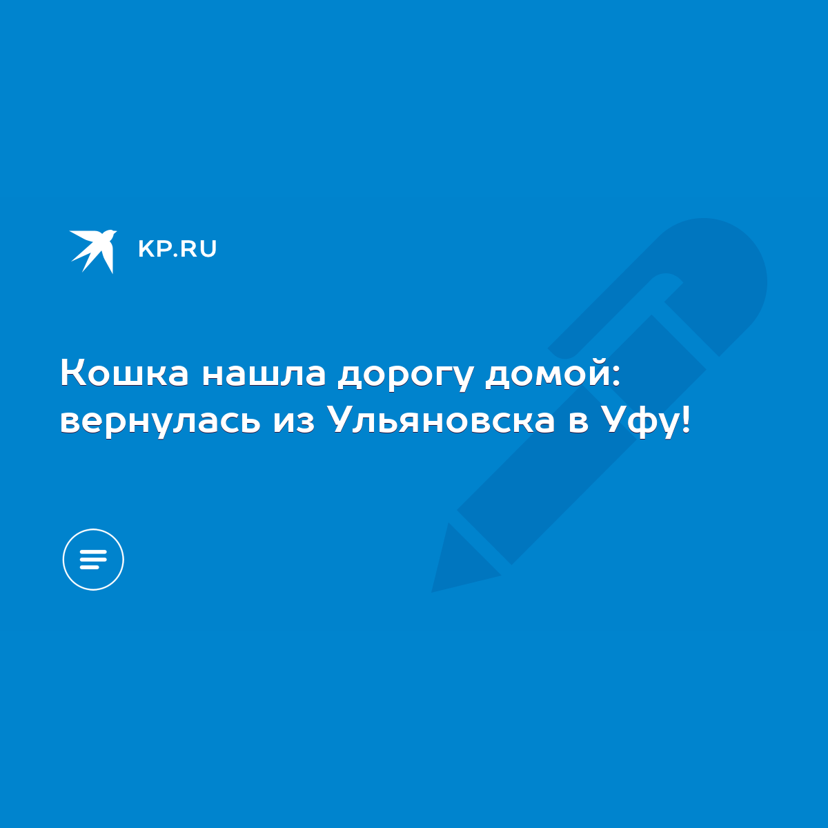 Кошка нашла дорогу домой: вернулась из Ульяновска в Уфу! - KP.RU