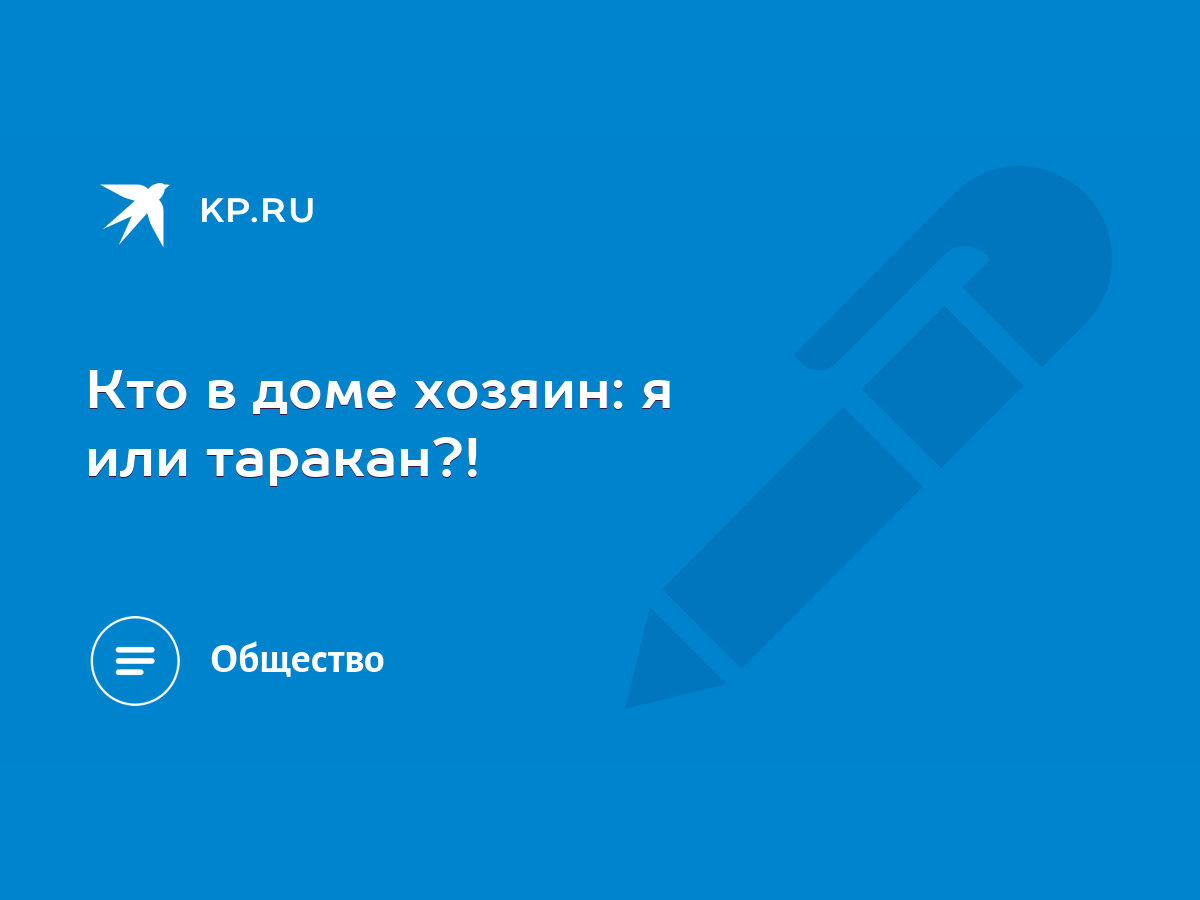 Кто в доме хозяин: я или таракан?! - KP.RU