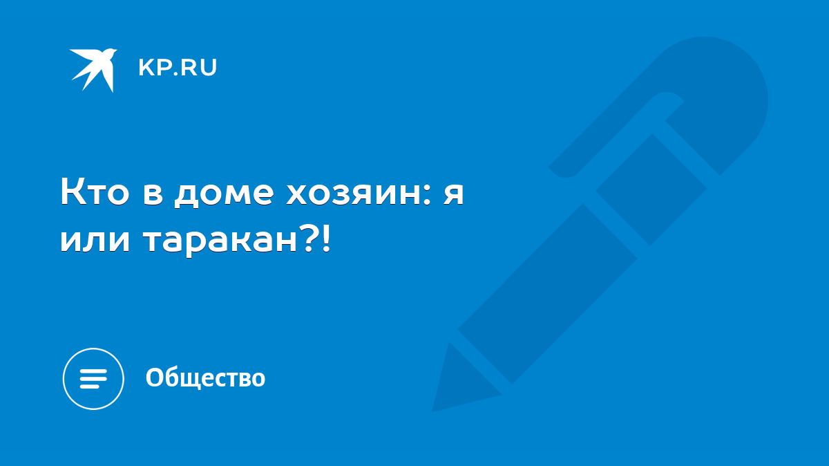 Кто в доме хозяин: я или таракан?! - KP.RU