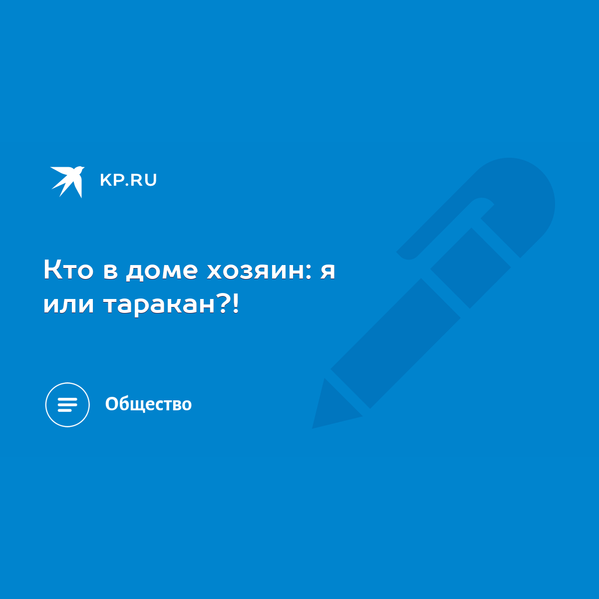 Кто в доме хозяин: я или таракан?! - KP.RU