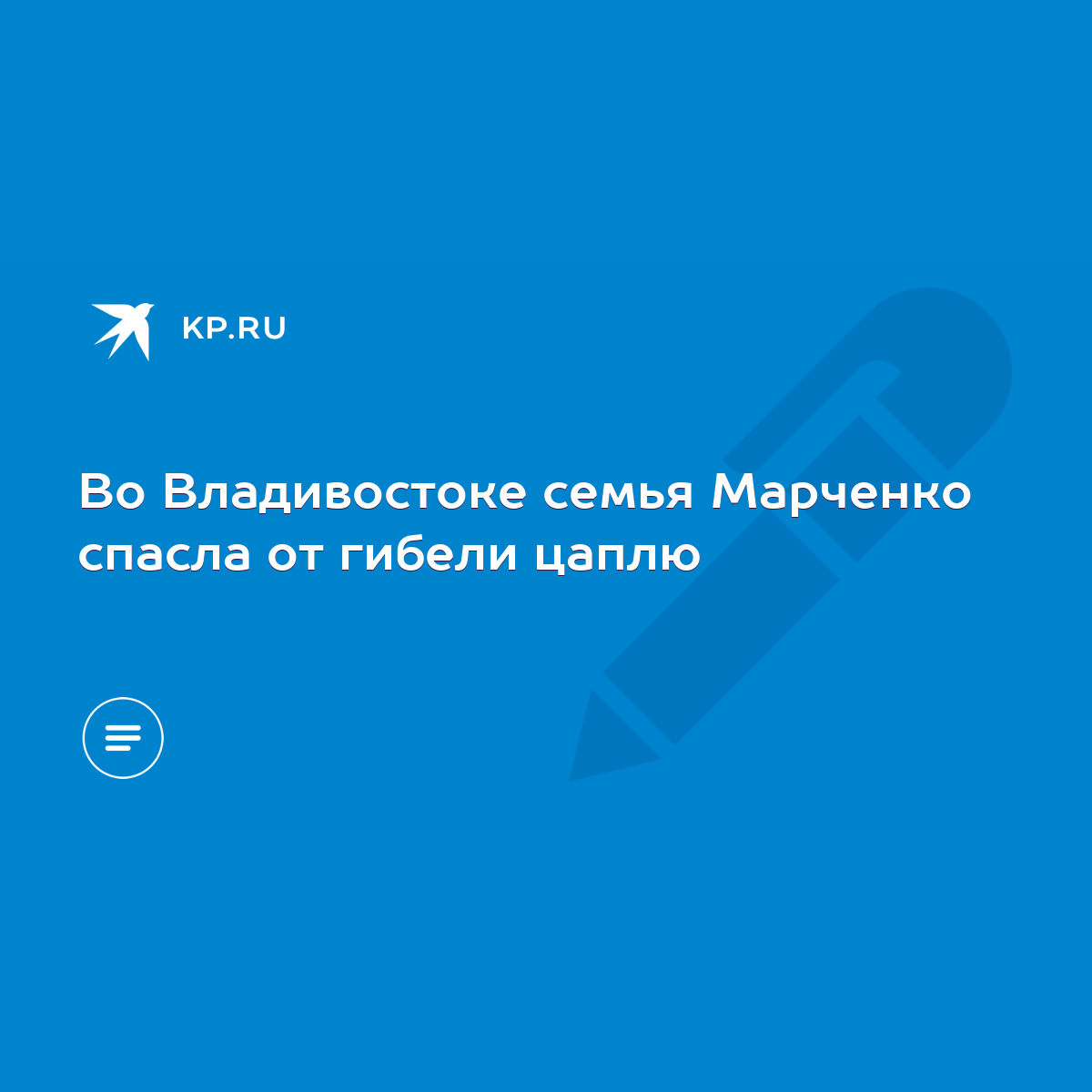 Во Владивостоке семья Марченко спасла от гибели цаплю - KP.RU