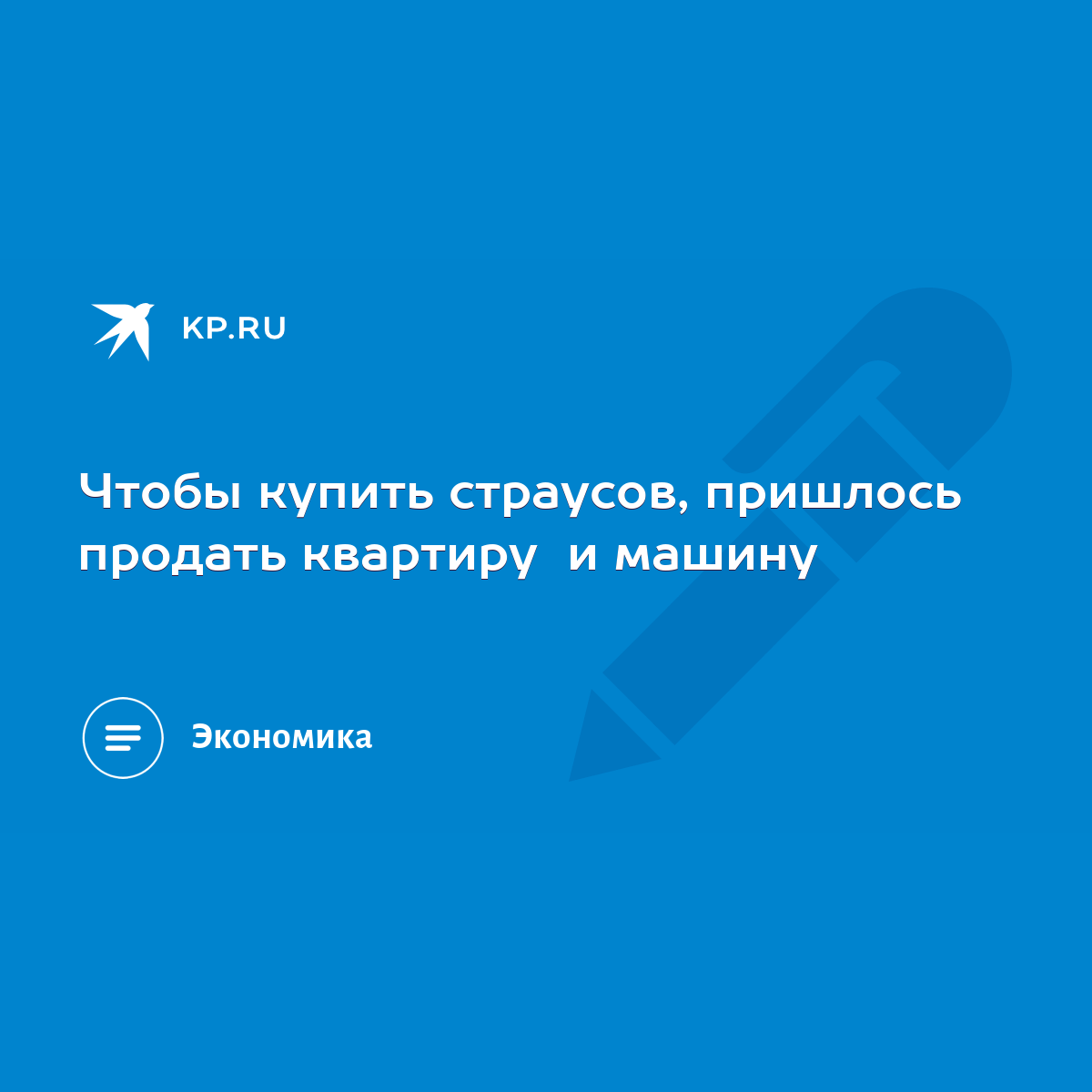 Чтобы купить страусов, пришлось продать квартиру и машину - KP.RU