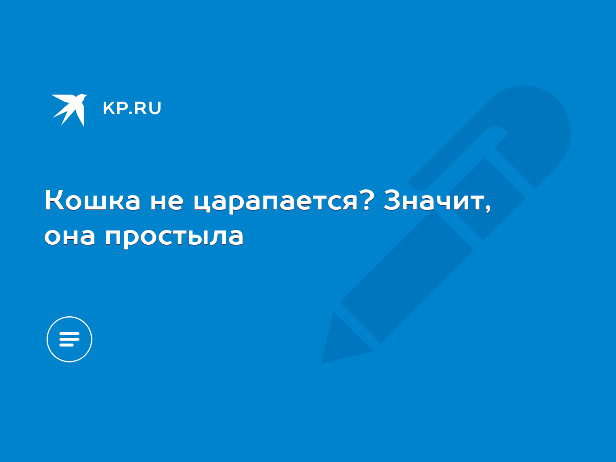 Кошка не царапается? Значит, она простыла - KP.RU