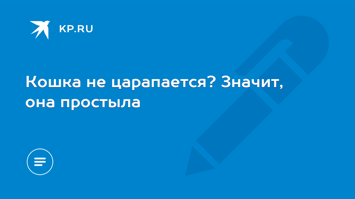 Кошка не царапается? Значит, она простыла - KP.RU