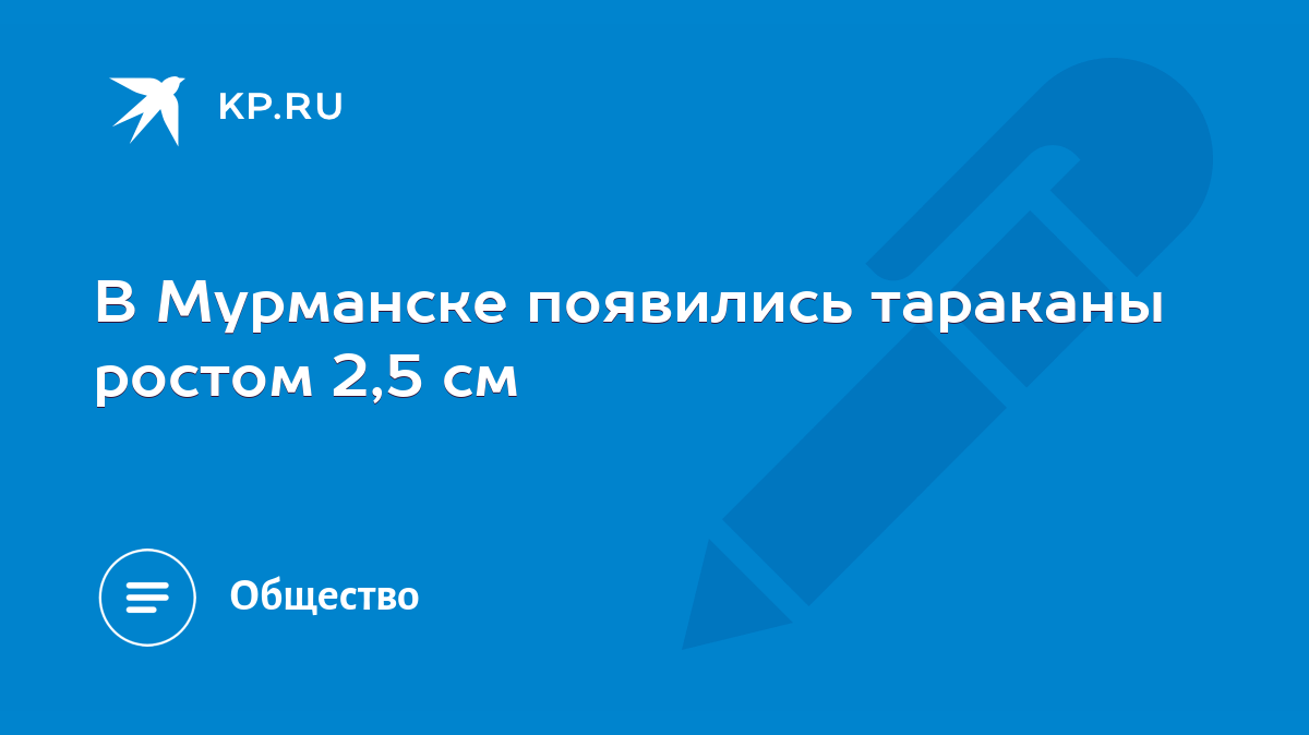 В Мурманске появились тараканы ростом 2,5 см - KP.RU